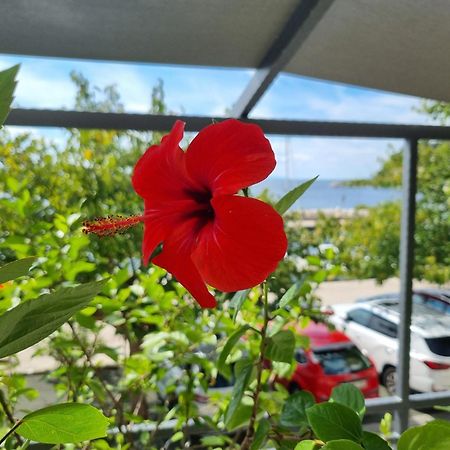 Apartman Ruza Подгора Екстериор снимка